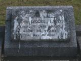 image of grave number 954666